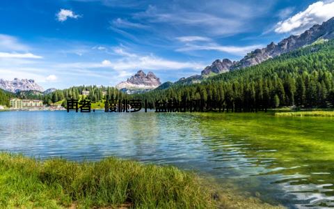 再者, 樱桃萝卜盆栽的观赏价值极高