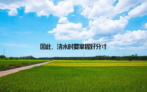 因此, 浇水时要掌握好分寸