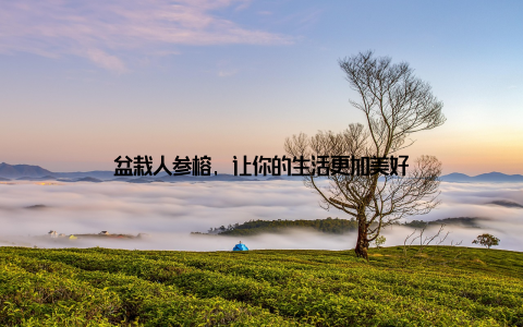 盆栽人参榕, 让你的生活更加美好