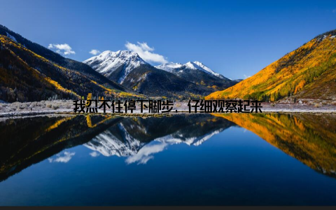 我忍不住停下脚步, 仔细观察起来