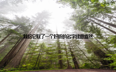 我给它取了一个好听的名字绿意盎然