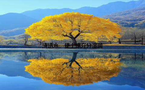 浇透水, 使土壤充分湿润