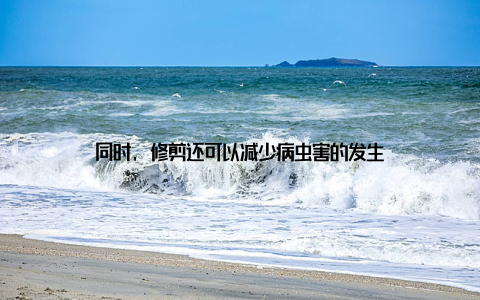 同时, 修剪还可以减少病虫害的发生