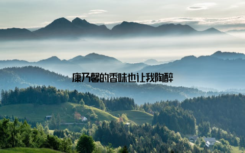 康乃馨的香味也让我陶醉