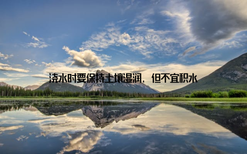 浇水时要保持土壤湿润, 但不宜积水