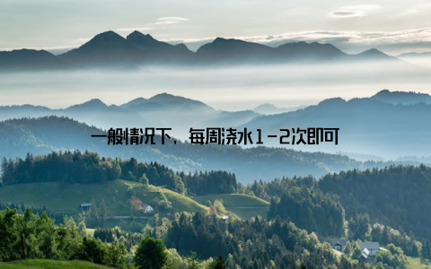 一般情况下, 每周浇水1-2次即可