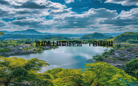 一、选盆选土我要给它选一个合适的盆