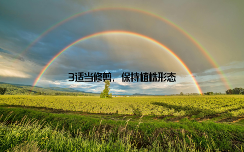 3适当修剪, 保持植株形态