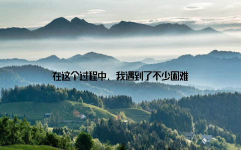 在这个过程中, 我遇到了不少困难