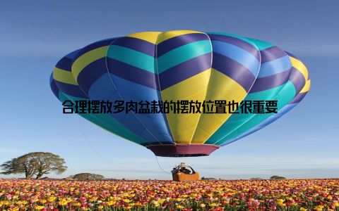 合理摆放多肉盆栽的摆放位置也很重要