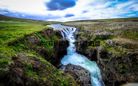 吊兰容易繁殖, 生命力旺盛