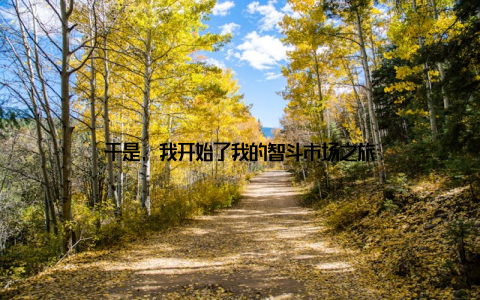 于是, 我开始了我的智斗市场之旅