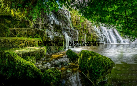 施肥要适量, 以免造成烧根