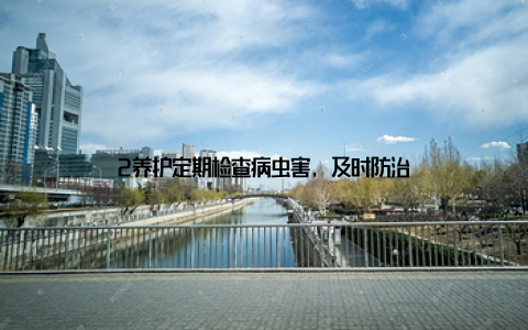 2养护定期检查病虫害, 及时防治