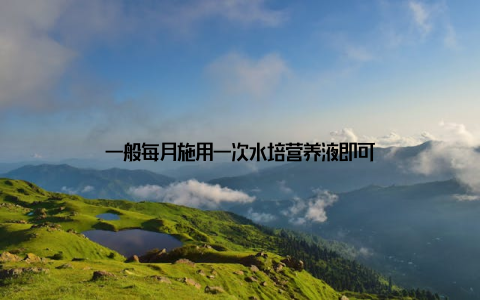 一般每月施用一次水培营养液即可