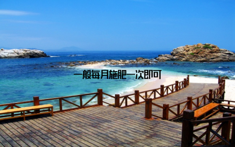 一般每月施肥一次即可