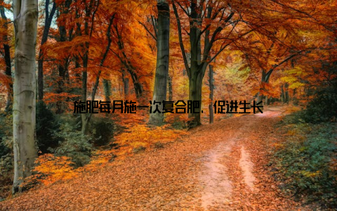 施肥每月施一次复合肥, 促进生长