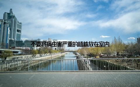 不要将病虫害严重的植株放在室内