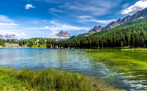 家里充满了生机和活力