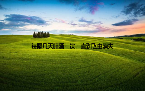 每隔几天喷洒一次, 直到飞虫消失