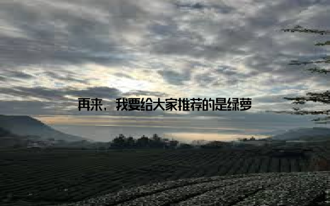 再来, 我要给大家推荐的是绿萝