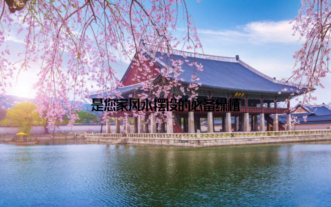 是您家风水摆设的必备绿植