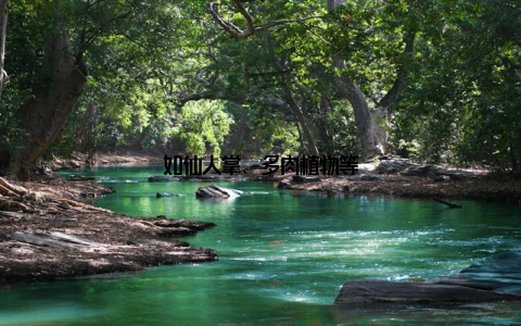 如仙人掌、多肉植物等