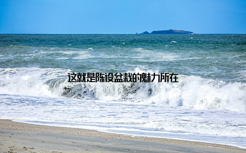 这就是陈设盆栽的魅力所在