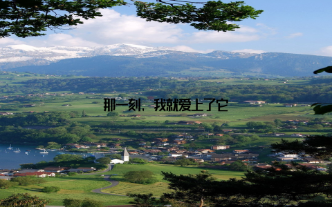 那一刻, 我就爱上了它