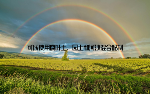 可以使用腐叶土、园土和河沙混合配制