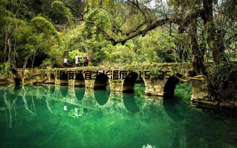 温度适宜生长温度为15-25℃