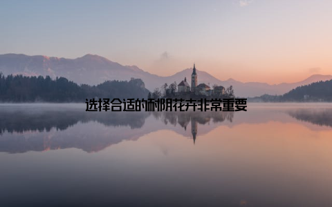 选择合适的耐阴花卉非常重要