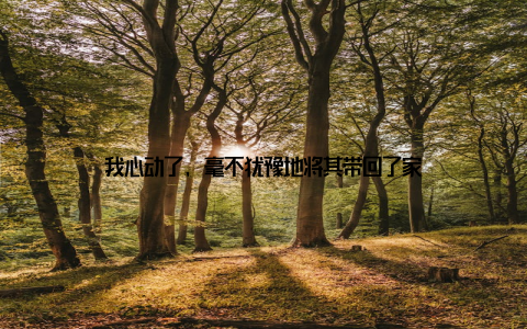 我心动了, 毫不犹豫地将其带回了家