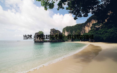 当然, 养盆栽并不是一件容易的事情