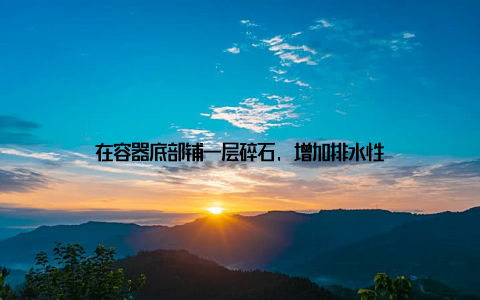 在容器底部铺一层碎石, 增加排水性