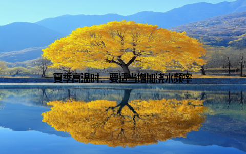 夏季高温时, 要适当增加浇水频率