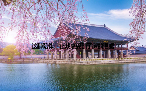 这种陪伴, 让我感受到了家的温暖