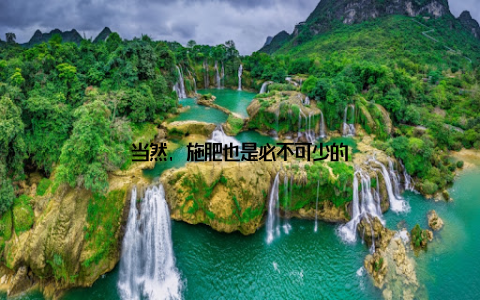 当然, 施肥也是必不可少的