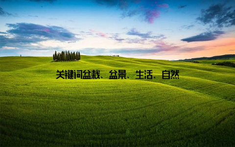 关键词盆栽、盆景、生活、自然