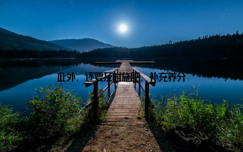 此外, 还要及时施肥, 补充养分