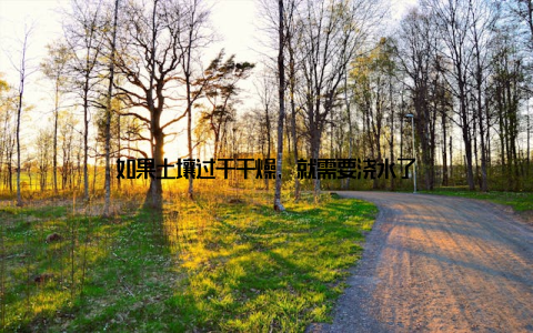 如果土壤过于干燥, 就需要浇水了