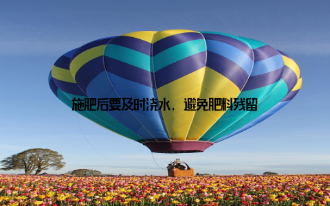 施肥后要及时浇水, 避免肥料残留