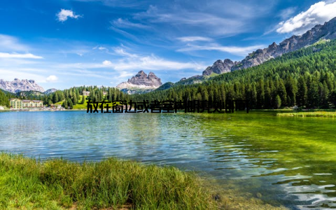 放在窗边或者室内明亮处即可
