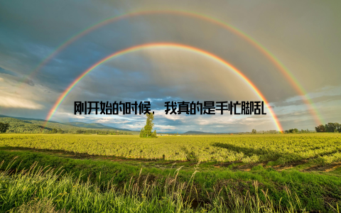 刚开始的时候, 我真的是手忙脚乱