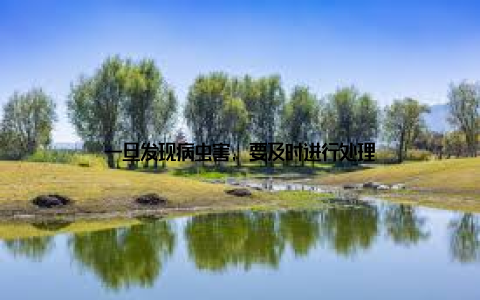 一旦发现病虫害, 要及时进行处理