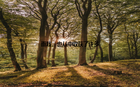 而我, 也从中收获了许多