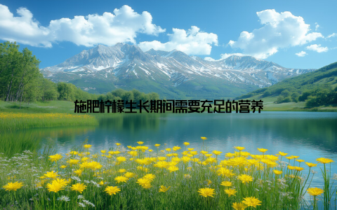 施肥柠檬生长期间需要充足的营养