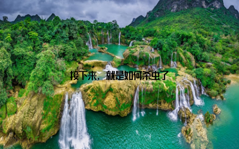 接下来, 就是如何杀虫了