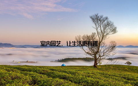 室内园艺, 让生活更有趣