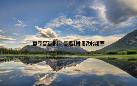 夏季高温时, 需要增加浇水频率